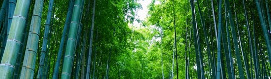岡本メソッドオンライン